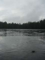 Alkumetsä