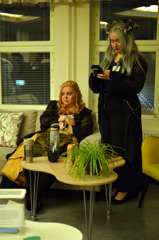DSC_0865 (2)