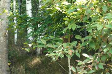 DANAKAR_LAUANTAI_VISA_LAMPI - 0076