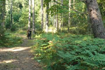 DANAKAR_LAUANTAI_VISA_LAMPI - 0093