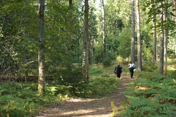 DANAKAR_LAUANTAI_VISA_LAMPI - 0169