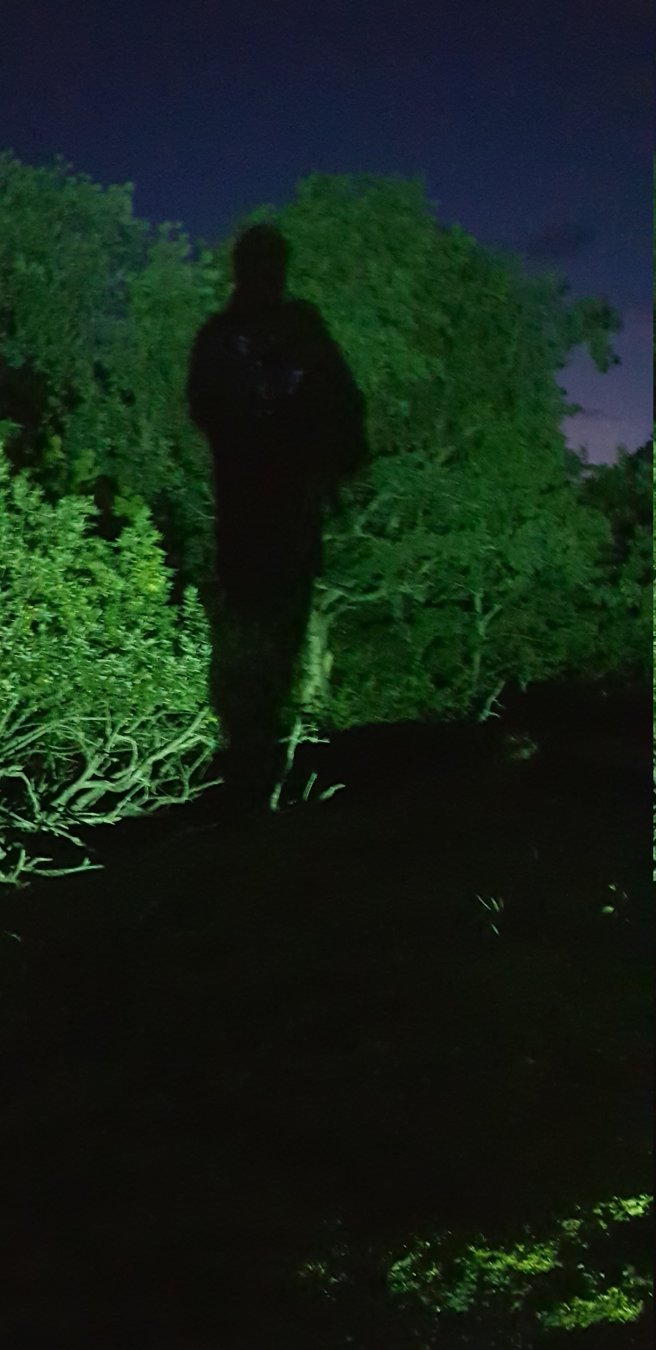 20180810_232529