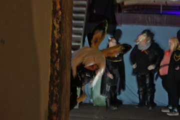 DSC05196