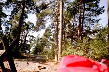 Hallayö