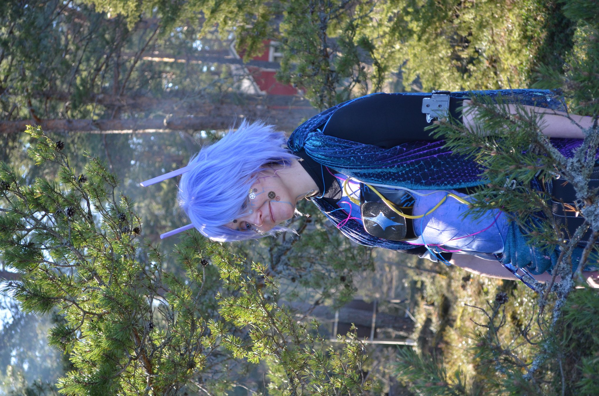 DSC_0487