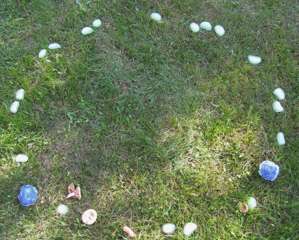 IMG-0000022