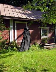 IMG-0000029