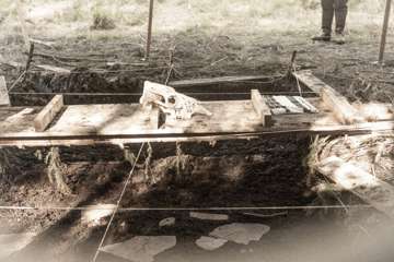 1M5A2289