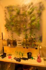 Mars2175_Tomi-108