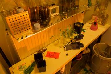 Mars2175_Tomi-109