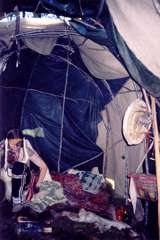 Neshwa