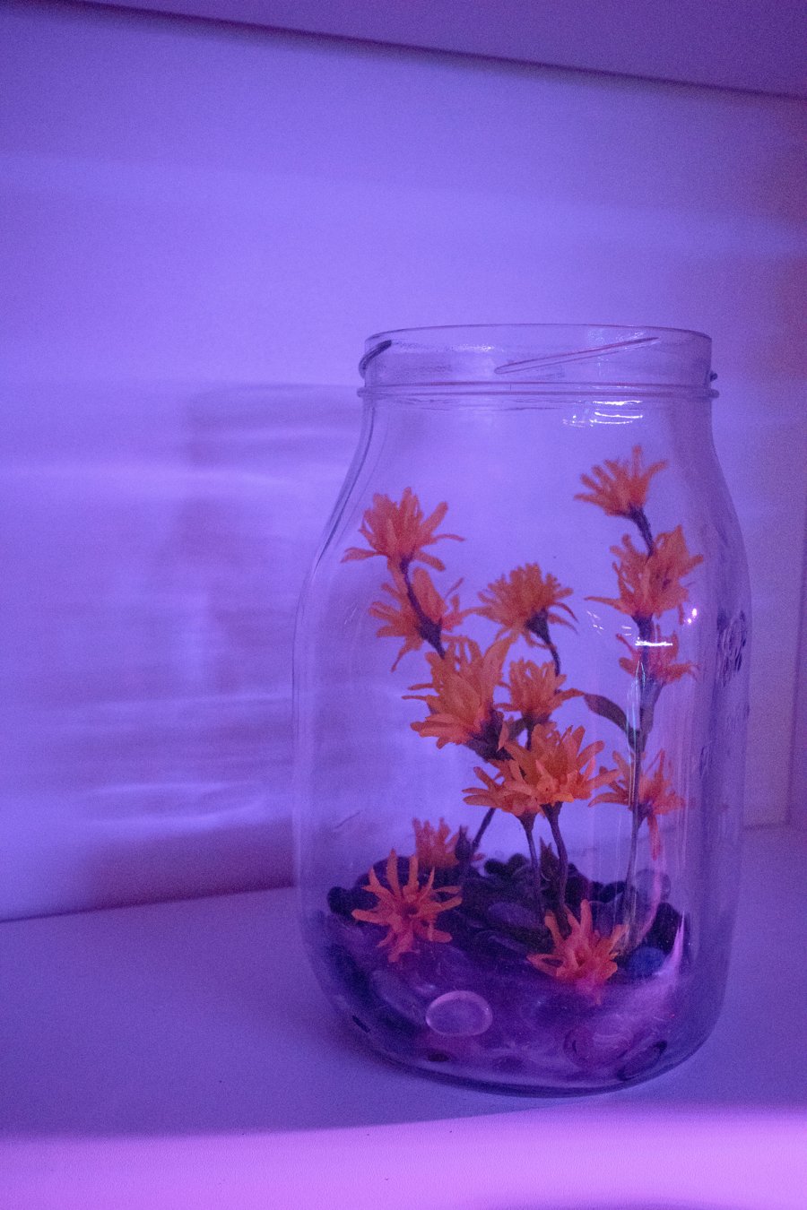 Ody_larptog_0019