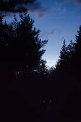 Ody_larptog_3497