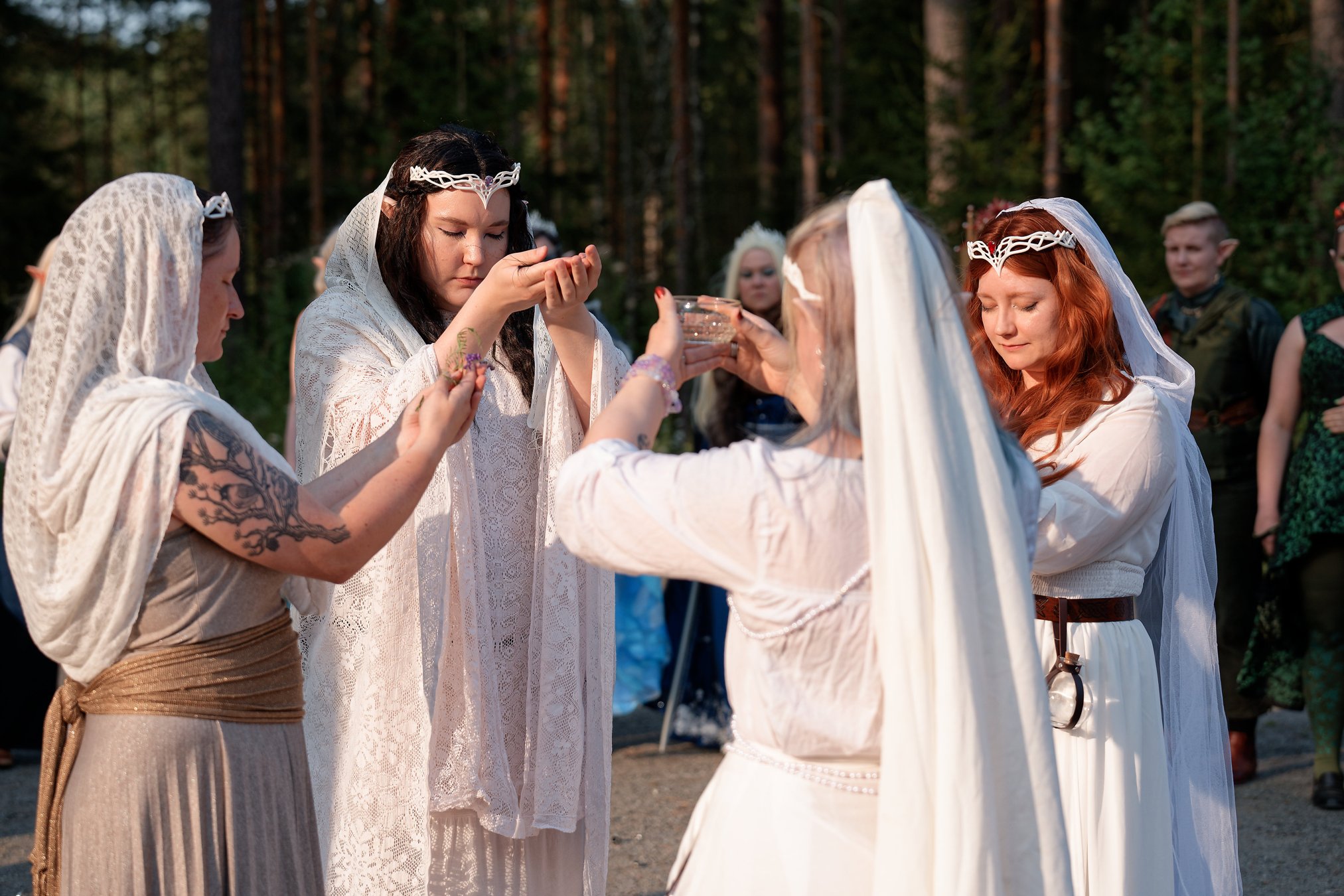 TPRV_0456