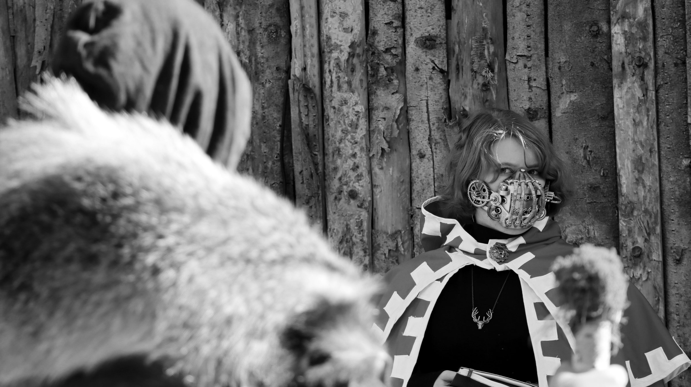 IMG_1243.